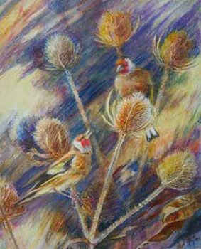 Teasels and goldfinches