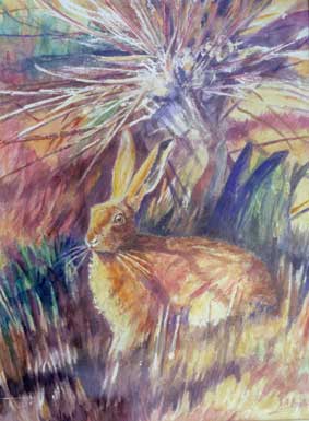Hare and willow